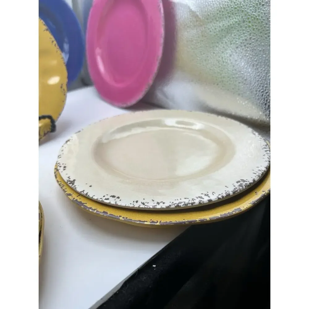 Pier 1 Carmelo Beautiful Colors Melamine Rustic 8.5” Plates Set of 10.